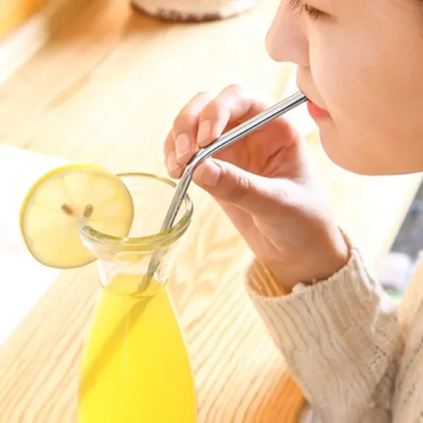 5PCS ECO STRAW Reusable Stainless Steel Drinking Straws Set With Cleaning Brush - Image 7